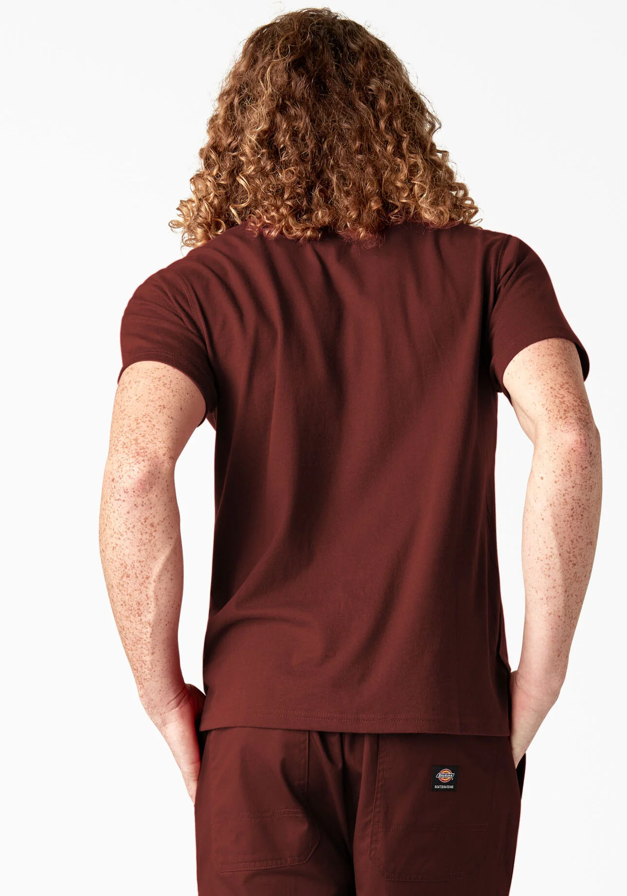 Dickies - Skate Logo Tee | Fired Brick - Image 3