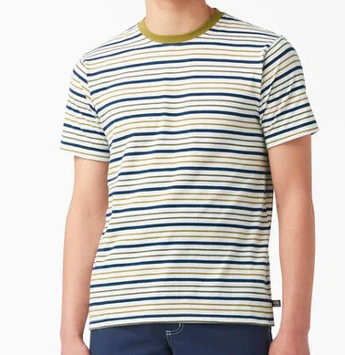 Dickies - Striped Tee | White Moss